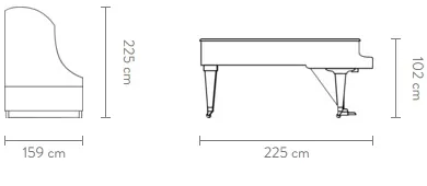 Dimensions of the Grand Piano 225