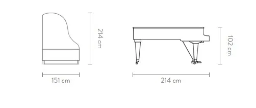 Dimensions of the Camellia